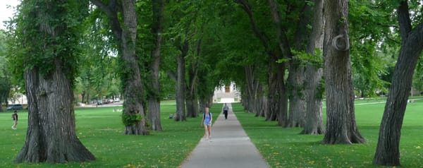 Students and faculty on a path on the Oval at Colorado State University's campus in Fort Collins, CO.